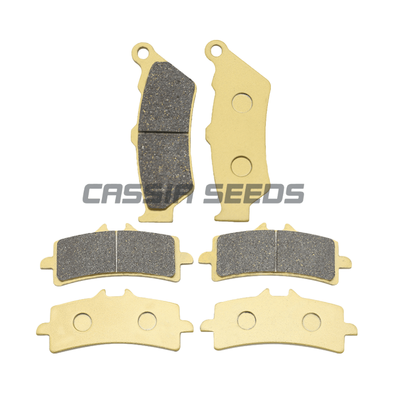 Carbon Ceramic Motorcycle Brake Rotor - MOTORCYCLE FRONT AND REAR BRAKE PADS