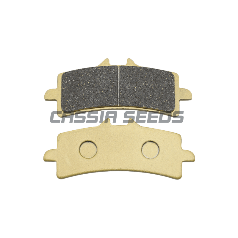 MOTORCYCLE FRONT AND REAR BRAK - Carbon Ceramic Motorcycle Brake Rotor review and price